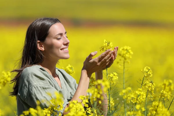Mujer Feliz Tocando Oliendo Flores Amarillas Campo Colza —  Fotos de Stock
