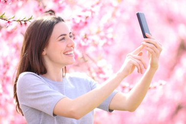 Baharda mutlu bir kadın çiçekli pembe bir tarlada akıllı telefonuyla selfie çekiyor.