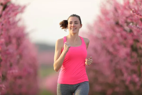 ピンクの花畑の中をカメラに向かって走る幸せランナーのフロントビュー — ストック写真
