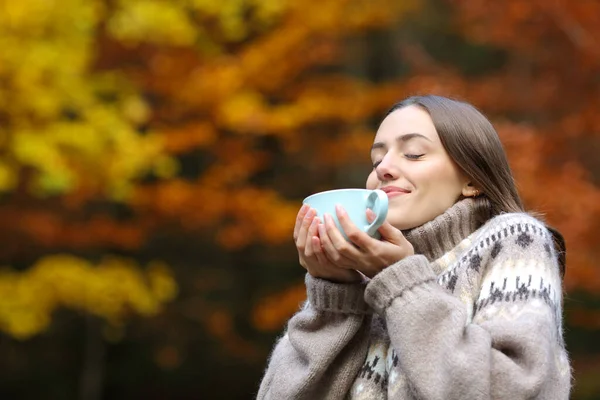 Happy Woman Autumn Smelling Coffee Holding Mug Park — Stock Photo, Image