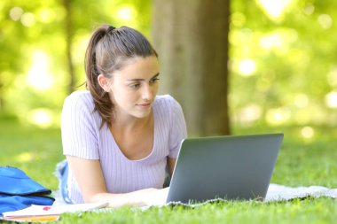 Öğrenci yeşil bir parkta dizüstü bilgisayarını kontrol ediyor.