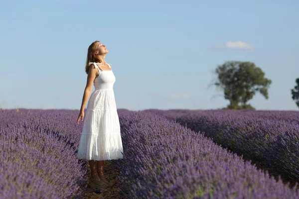 Ganzkörperporträt Einer Frau Weißen Kleid Die Frische Luft Lavendelfeld Atmet — Stockfoto