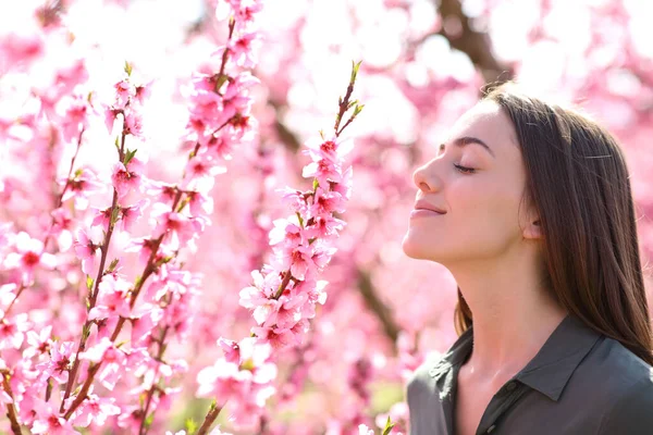 Profile Satisfied Woman Smelling Scented Flowers Field Stock Picture