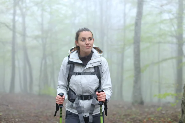 Widok Przodu Portret Szczęśliwej Kobiety Trekker Spaceru Lesie Zimie — Zdjęcie stockowe