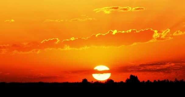 Beautiful Time Lapse Orange Sunrise Field — 图库视频影像