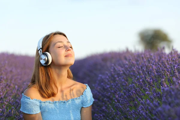 Female Wearing Headphones Breathing Fresh Air Listening Music Lavender Field — Zdjęcie stockowe
