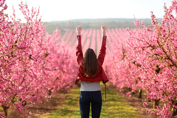 Back View Portrait Excited Woman Raising Arms Flowered Field Spring — Stockfoto