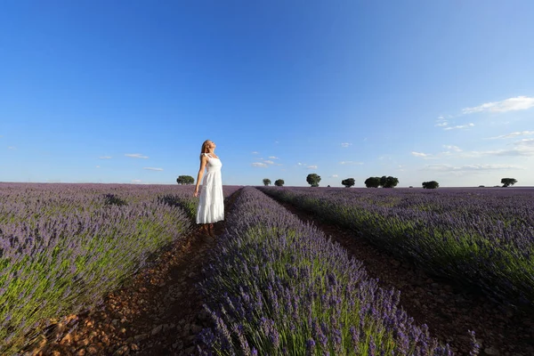Weibchen Weißen Kleid Atmen Frische Luft Einem Lavendelfeld — Stockfoto