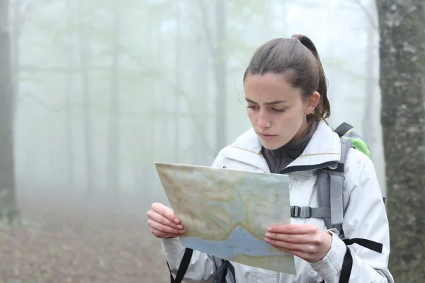 Σοβαρός Πεζοπόρος Που Ελέγχει Χάρτινο Χάρτη Για Βρει Τοποθεσία Δάσος — Φωτογραφία Αρχείου