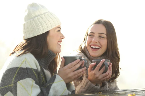 Mutlu Arkadaşlar Kışın Parkta Kahve Içip Sohbet Ediyorlar — Stok fotoğraf