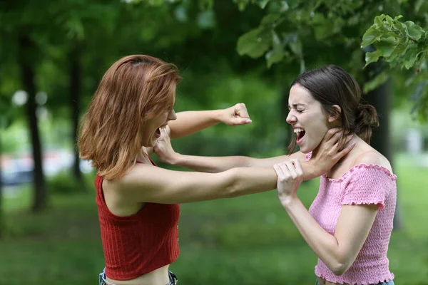 Deux Femmes Furieuses Battant Criant Dans Parc — Photo