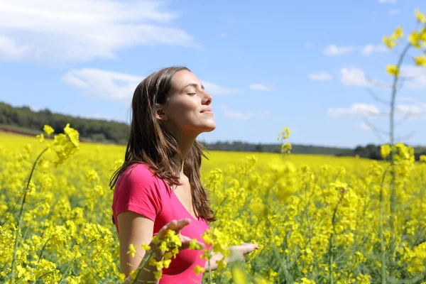 Mujer Feliz Respirando Aire Fresco Medio Campo Amarillo Tocando Plantas —  Fotos de Stock