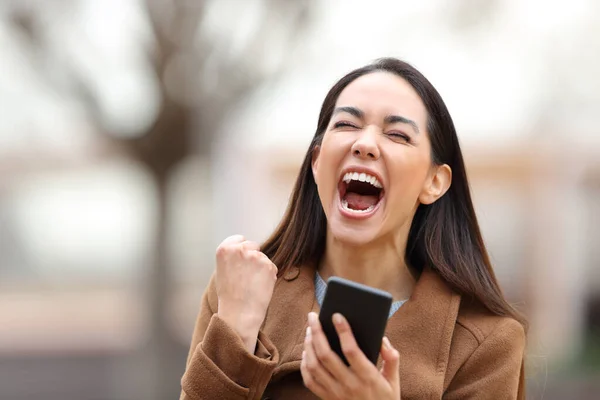 Opgewonden Vrouw Met Mobiele Telefoon Viert Goed Nieuws Een Park — Stockfoto