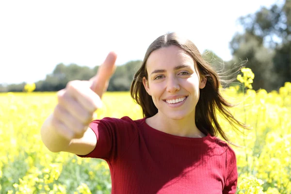 Front View Portrait Happy Woman Gesturing Thumb Yellow Field Summer — Stock Photo, Image