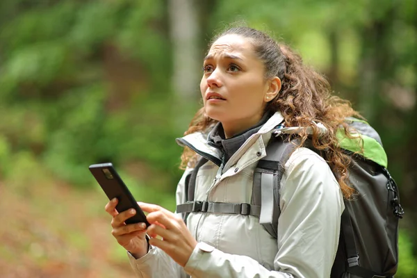 Lost Trekker Searching Location Smart Phone Alone Forest — Stock Photo, Image