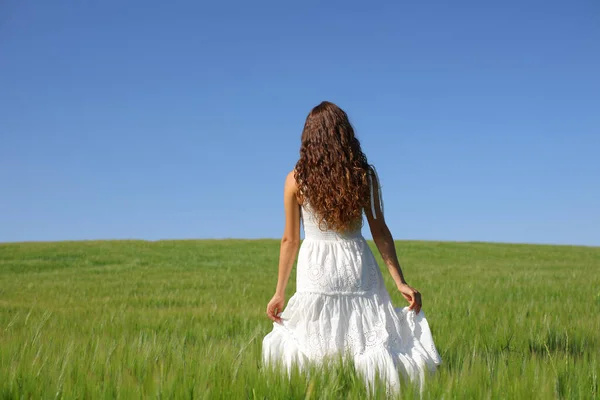 Widok Tyłu Kobiety Białej Sukience Spacerującej Zielonym Polu Pszenicy — Zdjęcie stockowe
