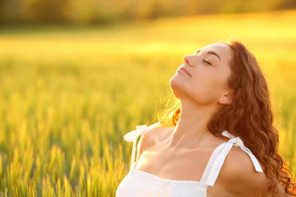 Расслабленная Женщина Дышит Свежим Воздухом Сидя Пшеничном Поле Закате — стоковое фото