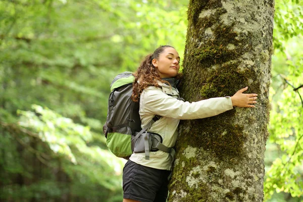 Feliz Caminante Abrazando Árbol Bosque —  Fotos de Stock