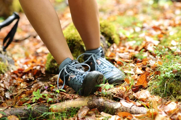 Close Portrait Trekker Stumbling Suffering Sprain Ankle Forest — 스톡 사진