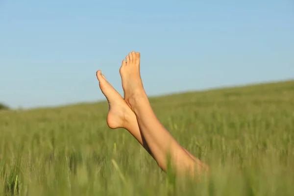 Close Portrait Woman Bare Feet Relaxed Wheat Field — Stock fotografie