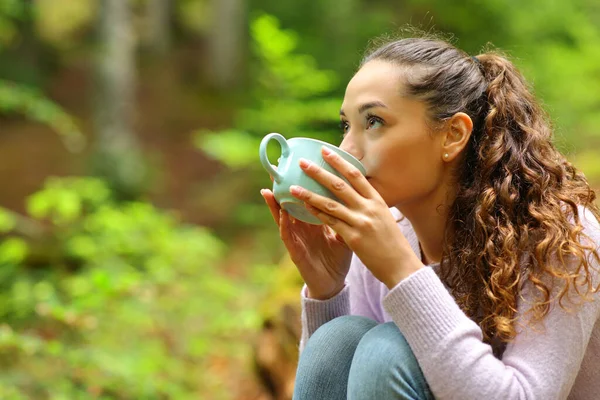 Woman Drinking Coffee Looking Forest — Stock Photo, Image