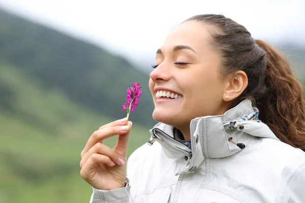 Joyeux Randonneur Sentant Fleur Sauvage Debout Dans Nature — Photo