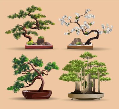 Konteynırlarda yetişen bonsai Japon ağaçları. Güzel, gerçekçi bir ağaç. Bonsai usulü ağaç. Kırmızı kutuda Bonsai ağacı var. Dekoratif küçük ağaç vektör çizimi. Doğa sanatı.