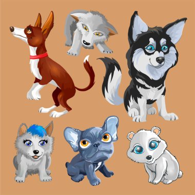 Farklı cinsten şirin köpeklerin olduğu bir koleksiyon. Beyaz arka planda bir sürü komik köpek. Tüylü insan dostları ev hayvanları