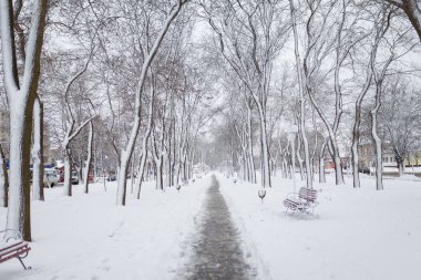 Güzel kış manzarası, ağaçlar ve parktaki banklar karla kaplı..