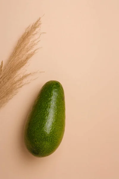 Taze Yeşil Avokado Bej Arka Planda Taze Sazlıklar Minimum Biçimli — Stok fotoğraf