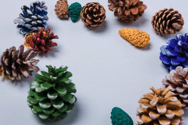 Çevre dostu Noel, yeni yıl süslemeleri, çok renkli doğal çam ağaçları, köknar kozalakları, plastik kavram yok. Boşluğu kopyala.