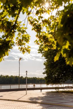 Şehir nehir kıyısının dikey görüntüsü, sokak lambaları ve akşam güneşinde yeşil akçaağaç yaprakları..