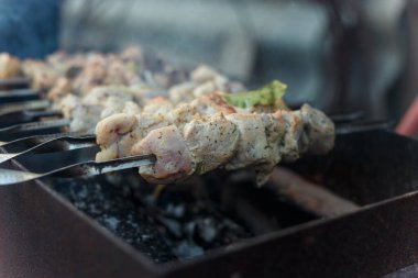 Şenlik ateşinde kızaran şişler üzerinde marine edilmiş domuz eti parçaları. Kebap ya da çok dumanlı geleneksel shashlik yemeği..