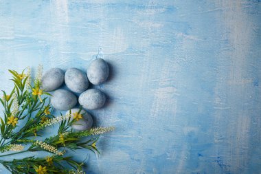 Mavi arka planda sarı çiçeklerle boyanmış Paskalya yumurtaları. Bahar tatili, sembolik yemekler. Üst görünüm, alanı kopyala.