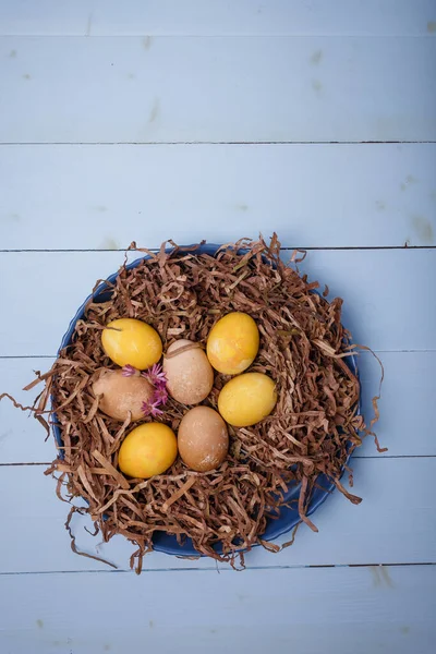 Braune Gelbe Ostereier Nest Auf Blauem Holzgrund Eier Gefärbt Mit — Stockfoto