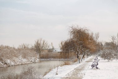 güzel kuru kahverengi kamışları karla kaplı, kış gölü manzarası ağaçlar ve banklarla kaplı.