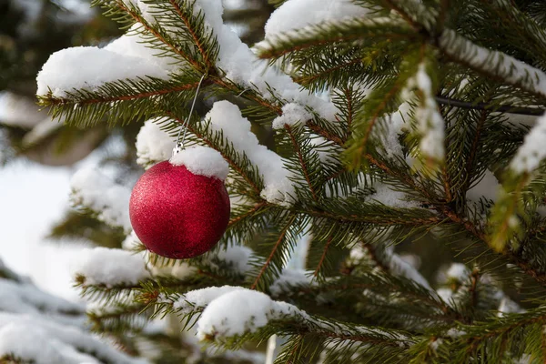Red Bauble Fir Branch Covered Snow Decorated Christmas Tree Outdoors — Stock Photo, Image