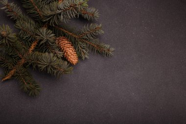 Gri ahşap arka planda büyük konisi olan mavi köknar ağacı dalı. Mutlu Noeller boş kart, reklam şablonu, kopyalama alanı