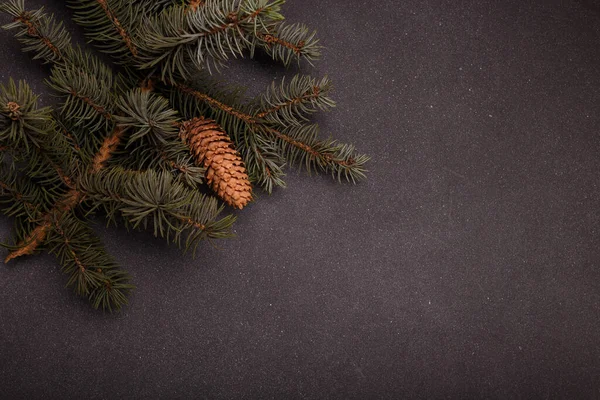 Gri ahşap arka planda büyük konisi olan mavi köknar ağacı dalı. Mutlu Noeller boş kart, reklam şablonu, kopyalama alanı