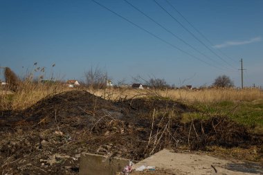 Yanmış sazlıklar ve otlar, doğal yangın, çevresel koruma, küresel toprak sorunu, kuraklık ve iklim değişikliği