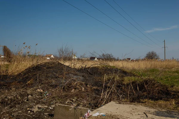 Yanmış sazlıklar ve otlar, doğal yangın, çevresel koruma, küresel toprak sorunu, kuraklık ve iklim değişikliği