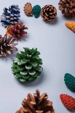 Çevre dostu Noel, yeni yıl süslemeleri, çok renkli doğal çam ağaçları, köknar kozalakları, plastik kavram yok. Boşluğu kopyala.