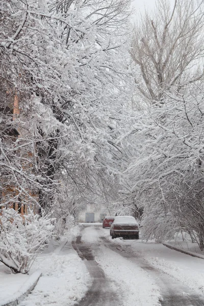 Car Covered Snow Snowy Trees Winter Background Blizzard Snowfall Snowstorm — Stock fotografie