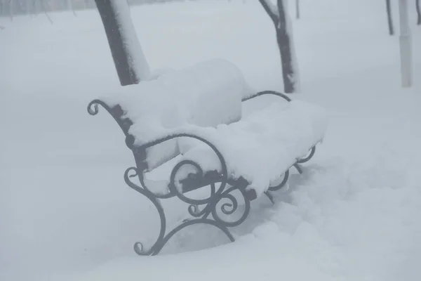 Bench Park Covered Snow Blizzard Snowfall Winter Background Close Shot — Fotografia de Stock