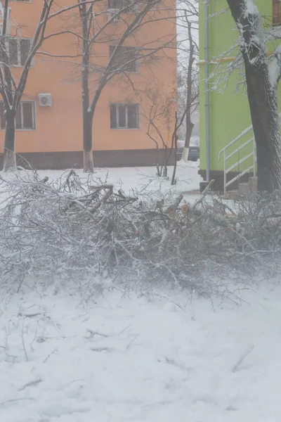 Broken Cut Tree Branches Covered Snow Ground Park Buildings Background — Fotografia de Stock