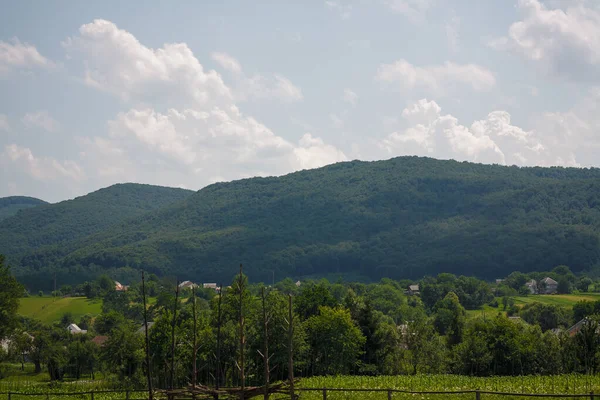 Ukraynalı Karpatlar. Yeşillik ve mavi gökyüzü arkaplanı arasındaki dağlar. Güzel doğa manzarası