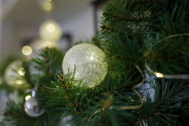 Firavun ağacı dalları güzel mücevherler ve çelenklerle süslenmiş. Mutlu Noeller, mutlu yeni yıl kutlamaları. Neşeli titreşimler