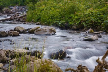 Ukrayna 'nın Karpat dağlarının kayalar ve yeşillikler arasında akan düz su yüzeyinin uzun pozlu görüntüsü.