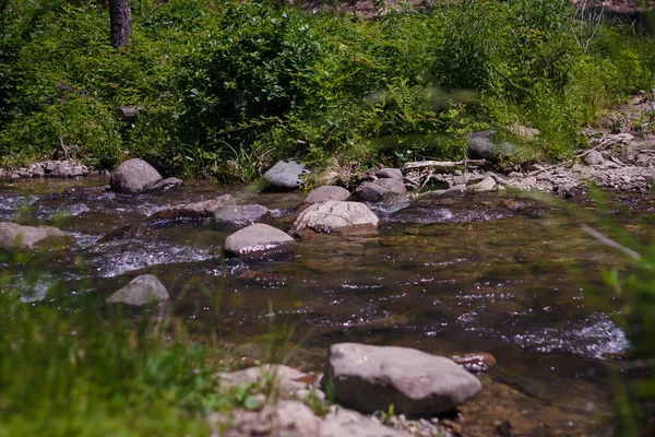 Гірська Річка Або Смужка Між Камінням Свіжою Зеленню Влітку Вдень — стокове фото