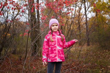 Pembe ceketli ve örgü şapkalı küçük kız ormandaki kırmızı sonbahar yapraklarına dokunuyor.